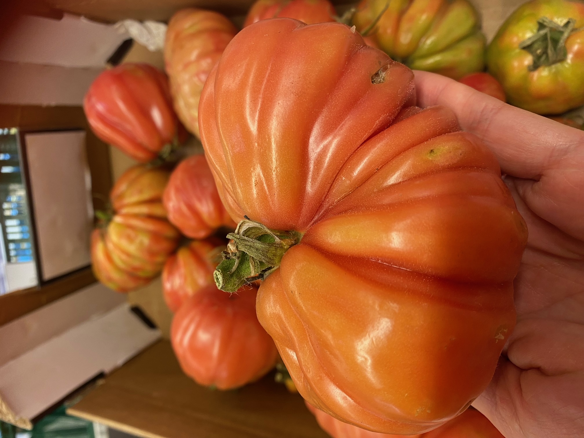 Collectief bezit heeft de toekomst in handen